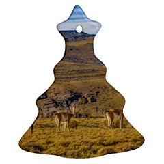 Group Of Vicunas At Patagonian Landscape, Argentina Ornament (christmas Tree)  by dflcprints