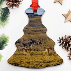 Group Of Vicunas At Patagonian Landscape, Argentina Christmas Tree Ornament (two Sides) by dflcprints