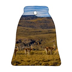 Group Of Vicunas At Patagonian Landscape, Argentina Bell Ornament (two Sides) by dflcprints