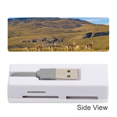 Group Of Vicunas At Patagonian Landscape, Argentina Memory Card Reader (stick)  by dflcprints