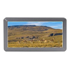 Group Of Vicunas At Patagonian Landscape, Argentina Memory Card Reader (mini) by dflcprints