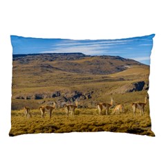 Group Of Vicunas At Patagonian Landscape, Argentina Pillow Case (two Sides) by dflcprints