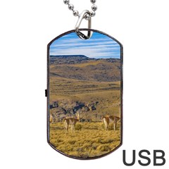 Group Of Vicunas At Patagonian Landscape, Argentina Dog Tag Usb Flash (one Side) by dflcprints