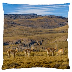 Group Of Vicunas At Patagonian Landscape, Argentina Large Cushion Case (one Side) by dflcprints