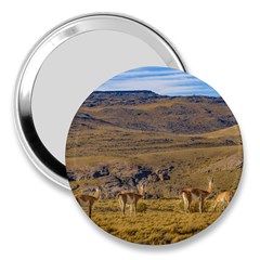 Group Of Vicunas At Patagonian Landscape, Argentina 3  Handbag Mirrors by dflcprints