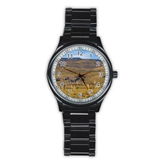 Group Of Vicunas At Patagonian Landscape, Argentina Stainless Steel Round Watch by dflcprints