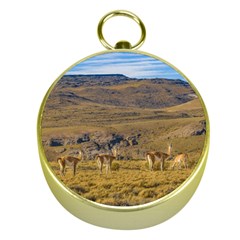 Group Of Vicunas At Patagonian Landscape, Argentina Gold Compasses by dflcprints