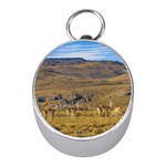 Group Of Vicunas At Patagonian Landscape, Argentina Mini Silver Compasses Front