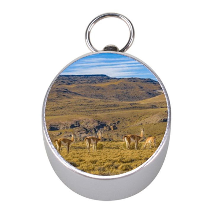 Group Of Vicunas At Patagonian Landscape, Argentina Mini Silver Compasses