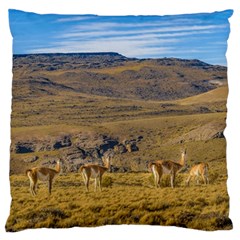 Group Of Vicunas At Patagonian Landscape, Argentina Standard Flano Cushion Case (two Sides) by dflcprints