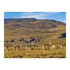 Group Of Vicunas At Patagonian Landscape, Argentina Double Sided Flano Blanket (mini)  by dflcprints