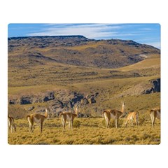 Group Of Vicunas At Patagonian Landscape, Argentina Double Sided Flano Blanket (large)  by dflcprints