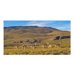 Group Of Vicunas At Patagonian Landscape, Argentina Satin Shawl by dflcprints