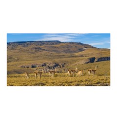 Group Of Vicunas At Patagonian Landscape, Argentina Satin Wrap by dflcprints