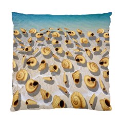 Shell Pattern Standard Cushion Case (two Sides) by Valentinaart