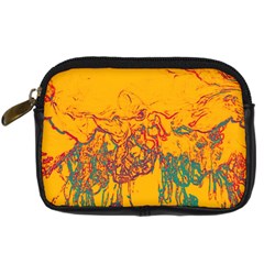 Colors Digital Camera Cases