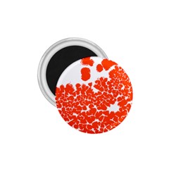 Red Spot Paint White Polka 1 75  Magnets