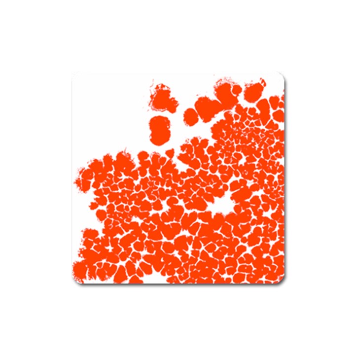 Red Spot Paint White Polka Square Magnet