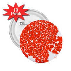 Red Spot Paint White 2 25  Buttons (10 Pack) 