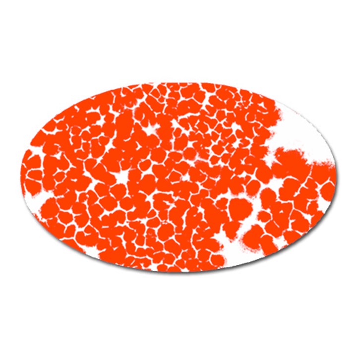 Red Spot Paint White Oval Magnet