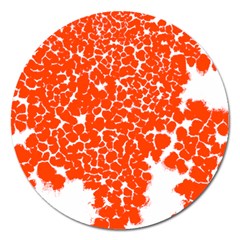 Red Spot Paint White Magnet 5  (round) by Mariart