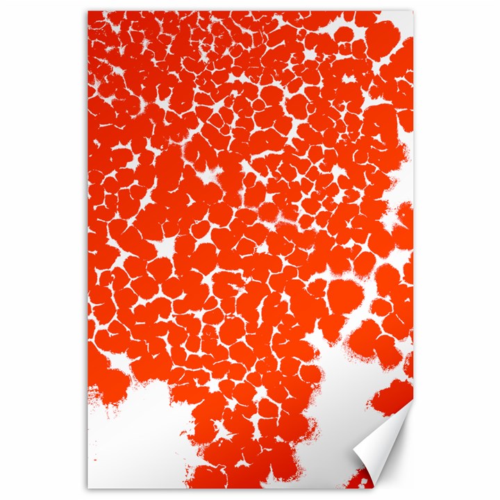 Red Spot Paint White Canvas 12  x 18  