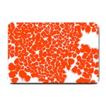 Red Spot Paint White Small Doormat  24 x16  Door Mat