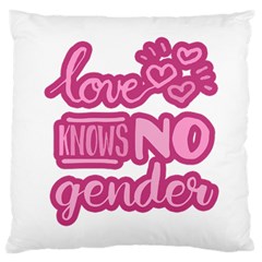 Love Knows No Gender Large Cushion Case (one Side) by Valentinaart