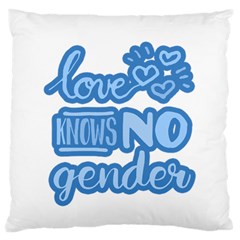 Love Knows No Gender Large Flano Cushion Case (two Sides) by Valentinaart