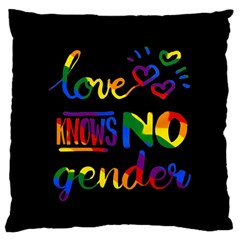 Love Knows No Gender Large Flano Cushion Case (one Side) by Valentinaart