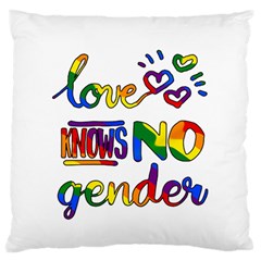 Love Knows No Gender Large Flano Cushion Case (one Side) by Valentinaart