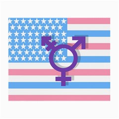 Transgender Flag Small Glasses Cloth by Valentinaart