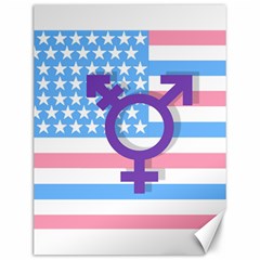 Transgender Flag Canvas 12  X 16   by Valentinaart