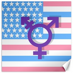 Transgender Flag Canvas 20  X 20   by Valentinaart