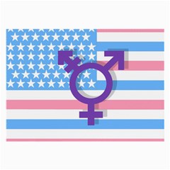 Transgender Flag Large Glasses Cloth by Valentinaart