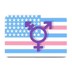 Transgender Flag Plate Mats by Valentinaart