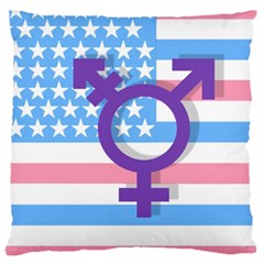 Transgender Flag Large Cushion Case (two Sides) by Valentinaart