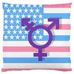 Transgender flag Large Flano Cushion Case (One Side) Front