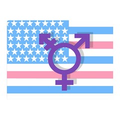 Transgender Flag Double Sided Flano Blanket (mini)  by Valentinaart