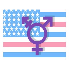 Transgender Flag Double Sided Flano Blanket (large)  by Valentinaart