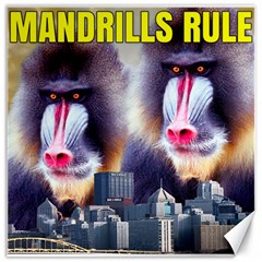 Mandrills Rule Canvas 20  X 20   by RakeClag