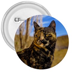 Adult Wild Cat Sitting And Watching 3  Buttons by dflcprints