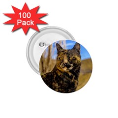 Adult Wild Cat Sitting And Watching 1 75  Buttons (100 Pack)  by dflcprints