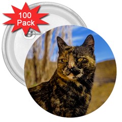 Adult Wild Cat Sitting And Watching 3  Buttons (100 Pack)  by dflcprints