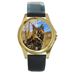 Adult Wild Cat Sitting And Watching Round Gold Metal Watch by dflcprints