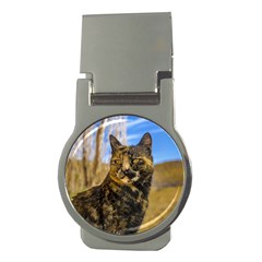 Adult Wild Cat Sitting And Watching Money Clips (round)  by dflcprints