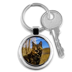 Adult Wild Cat Sitting And Watching Key Chains (round)  by dflcprints