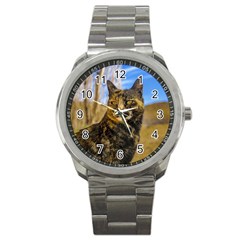 Adult Wild Cat Sitting And Watching Sport Metal Watch by dflcprints