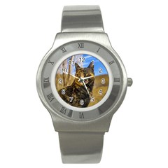 Adult Wild Cat Sitting And Watching Stainless Steel Watch by dflcprints