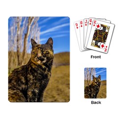 Adult Wild Cat Sitting And Watching Playing Card by dflcprints